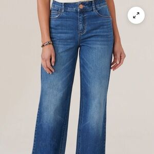 Absolution High Rise Wide Leg Democracy Jeans